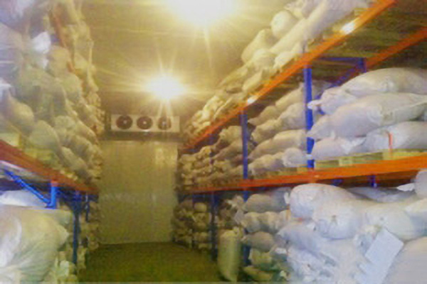 重庆森凯冷库专用门价格