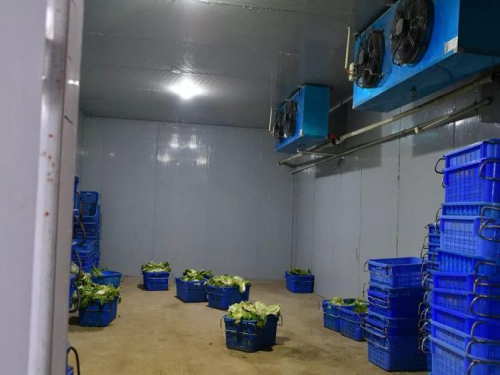 淄博大型蔬菜保鲜冷库